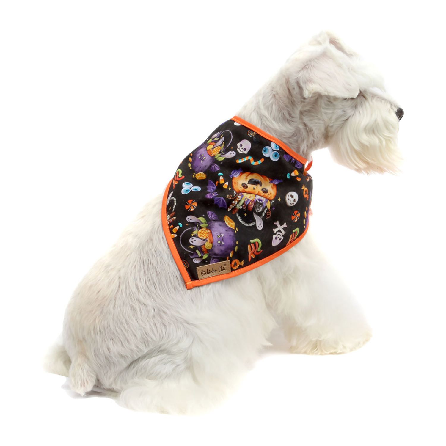 Bandana Halloween Bichinho Chic Laranja com pet 2