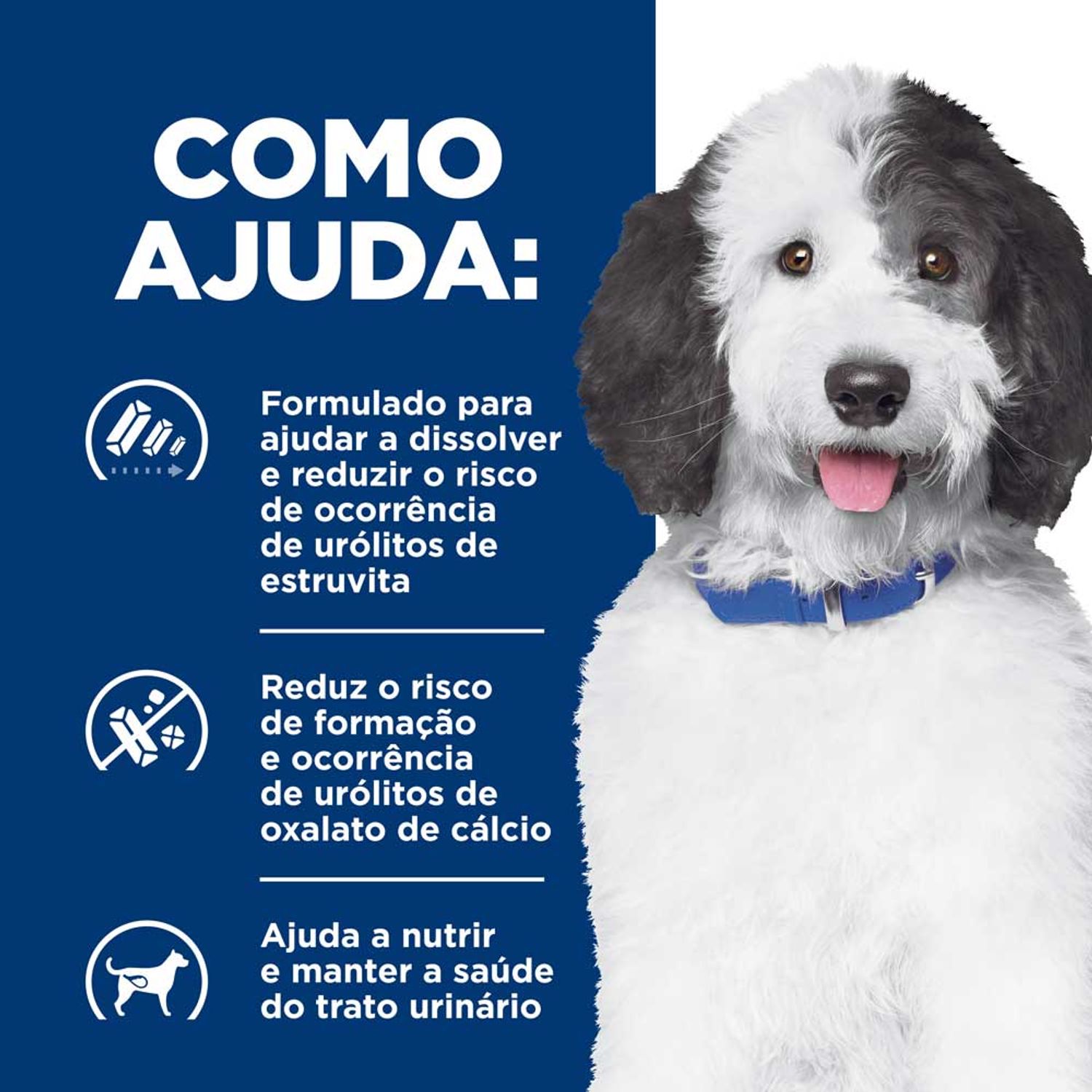 Racao-Hill-s-C-D-Caes-Adultos-Urinary-Care-como-ajuda