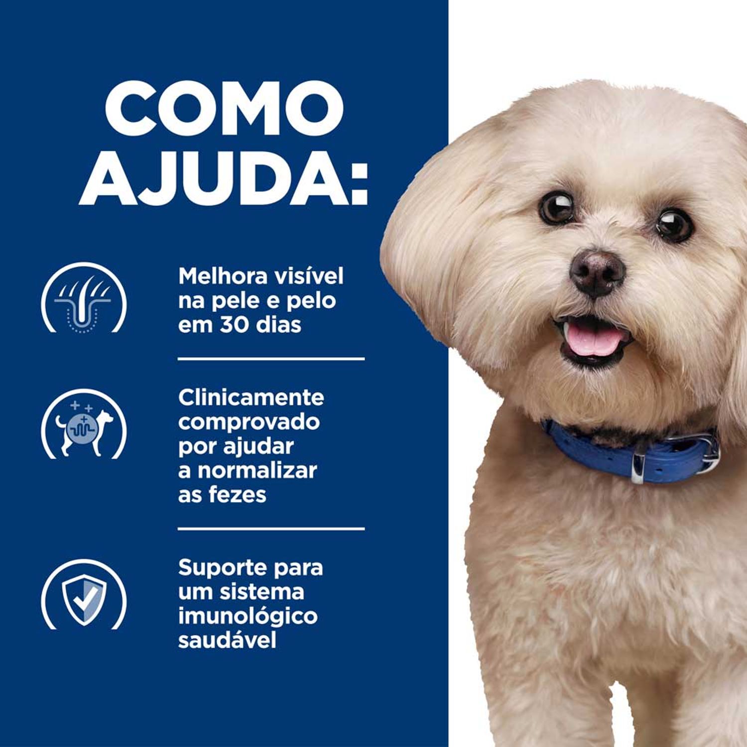 Racao-Hill-s-Prescription-Diet-Z-D-Caes-Adultos-Pedacos-Pequenos-Alergias-Alimentares-e-da-Pele-como-ajuda