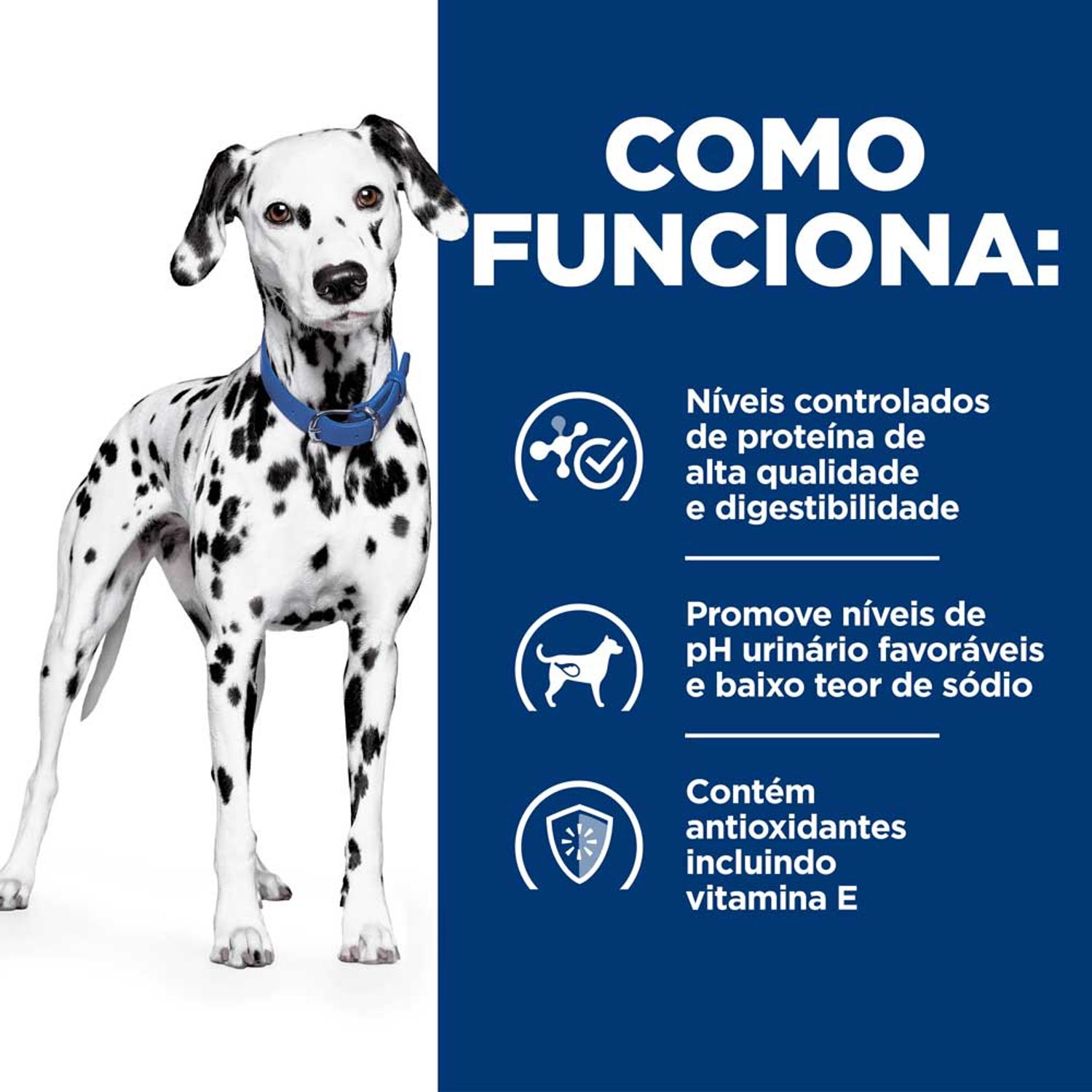 Racao-Hill-s-Prescription-Diet-U-D-Caes-Adultos-Cuidado-Urinario-como-Funciona