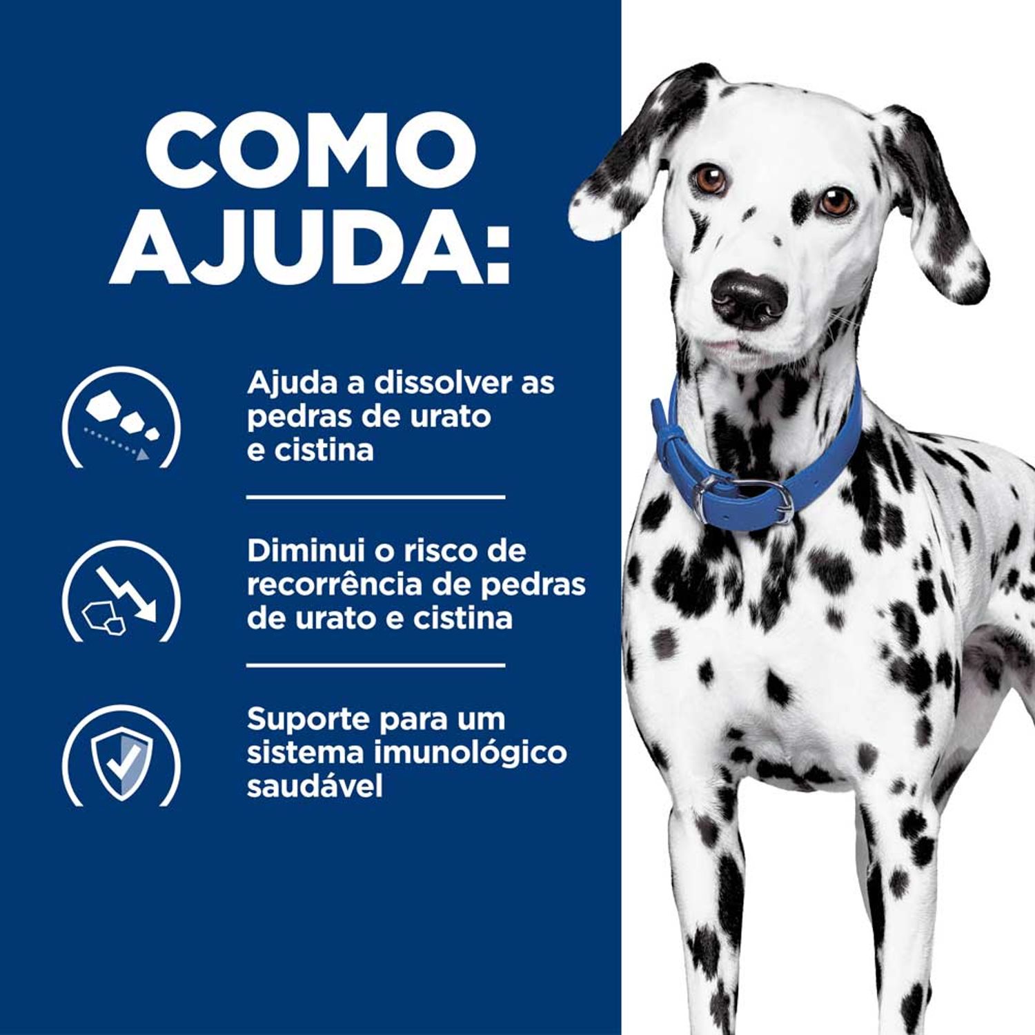Racao-Hill-s-Prescription-Diet-U-D-Caes-Adultos-Cuidado-Urinario-Como-Ajuda