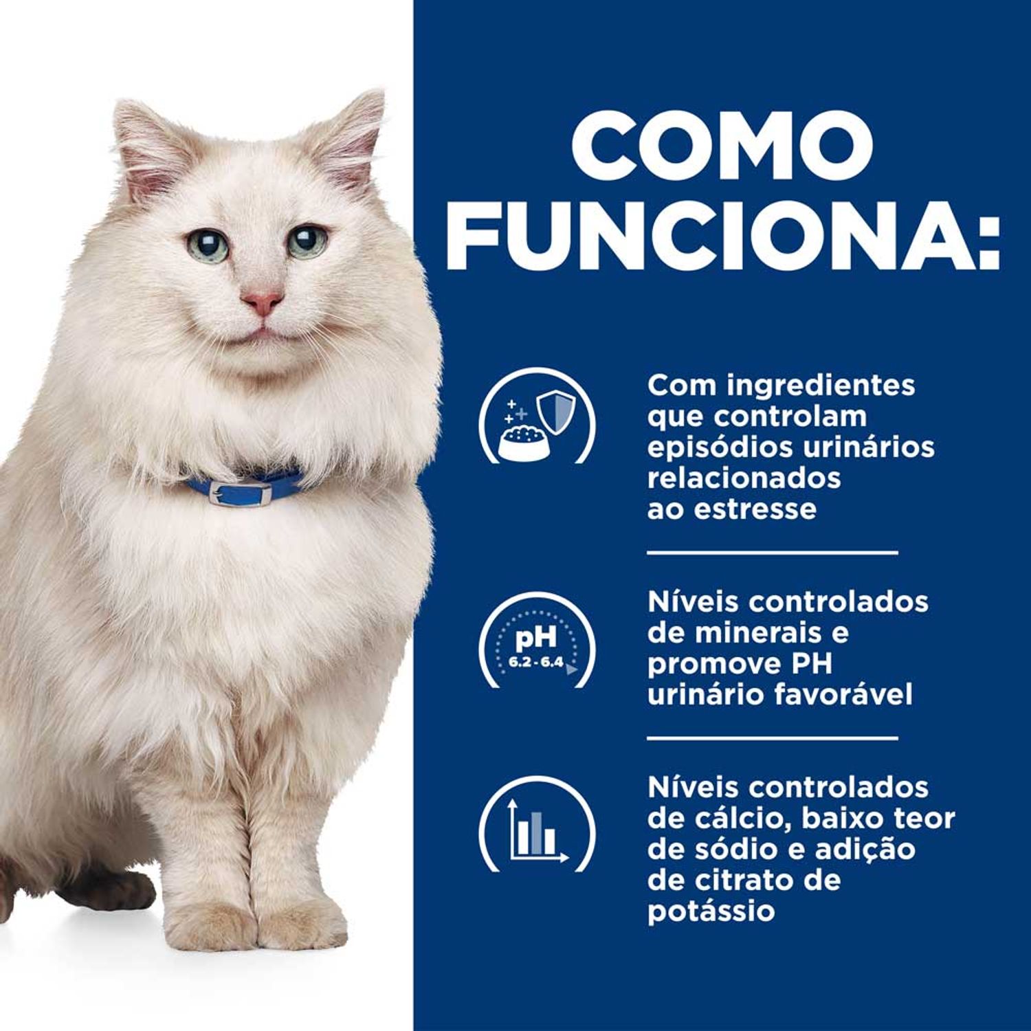 Racao-Hill-s-Prescription-Diet-C-D-Multicare-Stress-Gatos-Adultos-Cuidado-Urinario-como-funciona