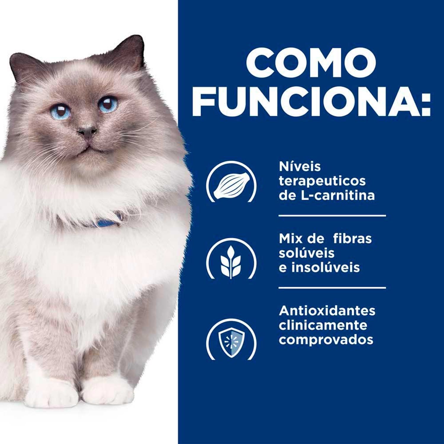 Racao-Hill-s-Prescriptions-Diet-R-D-Gatos-Adultos-Obesos-Reducao-de-Peso