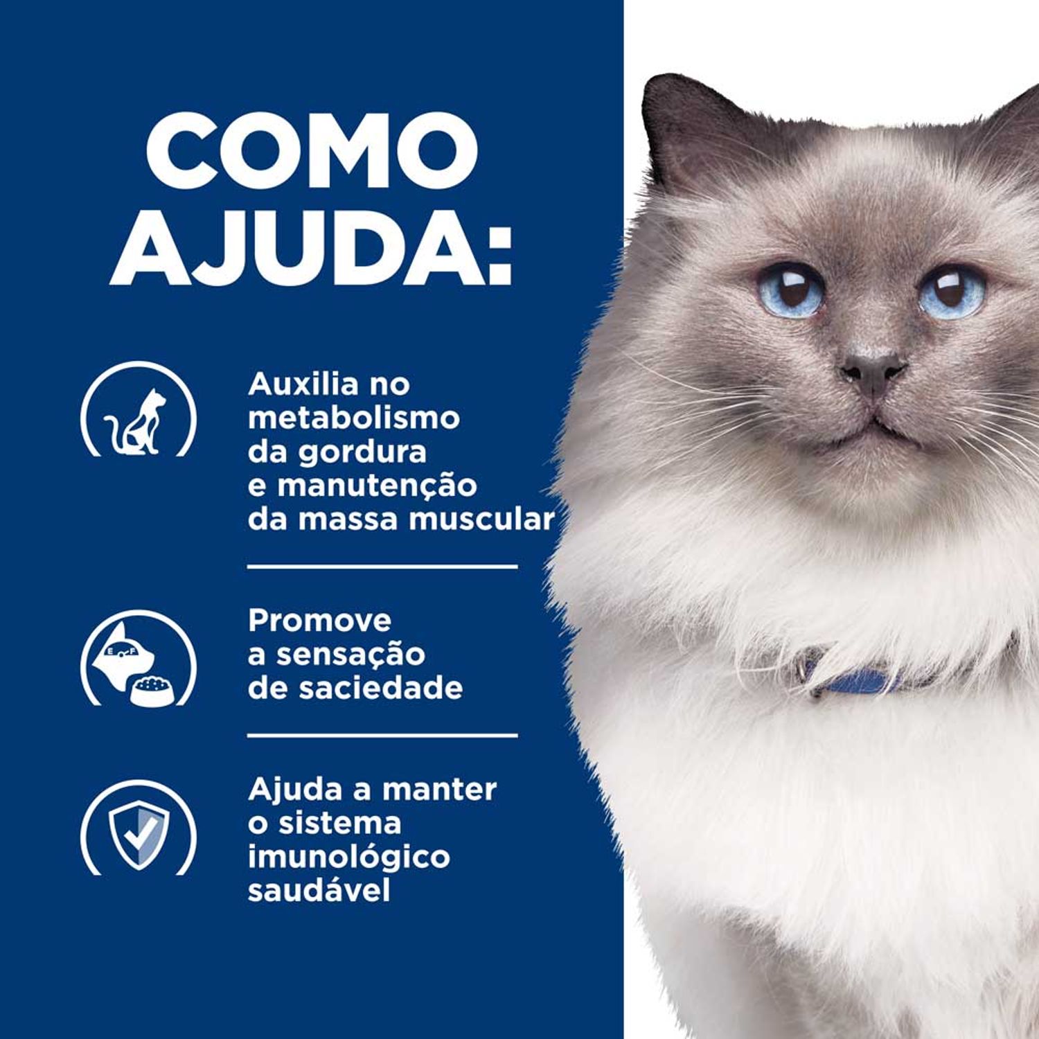 Racao-Hill-s-Prescriptions-Diet-R-D-Gatos-Adultos-Obesos-Reducao-de-Peso