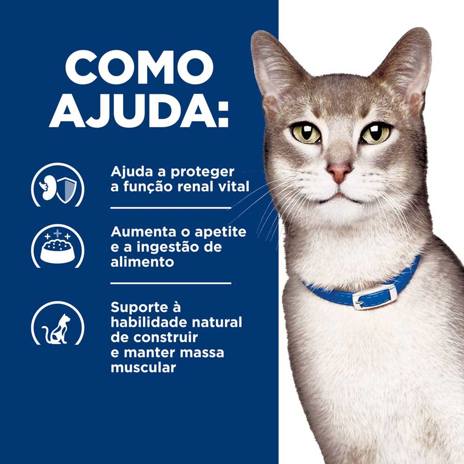 Racao-Hill-s-Prescription-Diet-K-D-Gatos-Adultos-Cuidado-Renal-