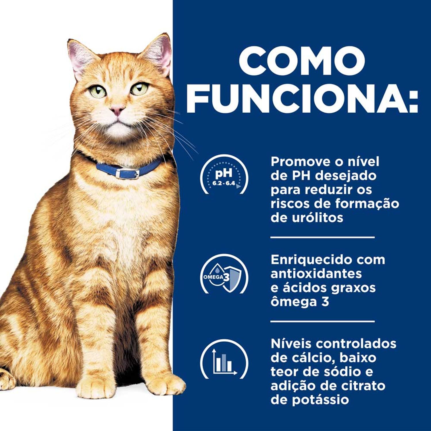 Racao-Hill-s-Cuidado-Urinario-Como-funciona