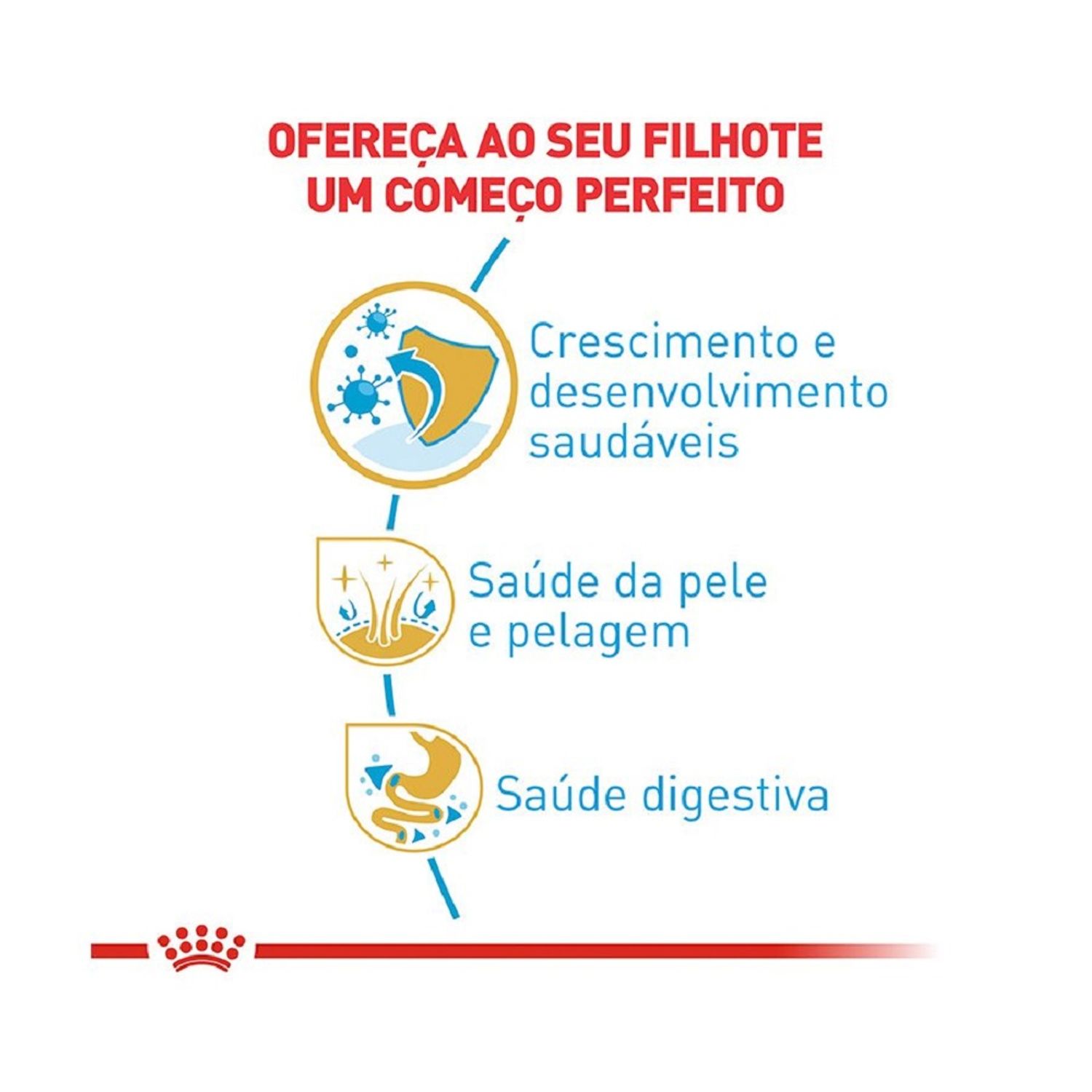 Ração Royal Canin Puppy Golden Retriever Cães Filhotes benefícios
