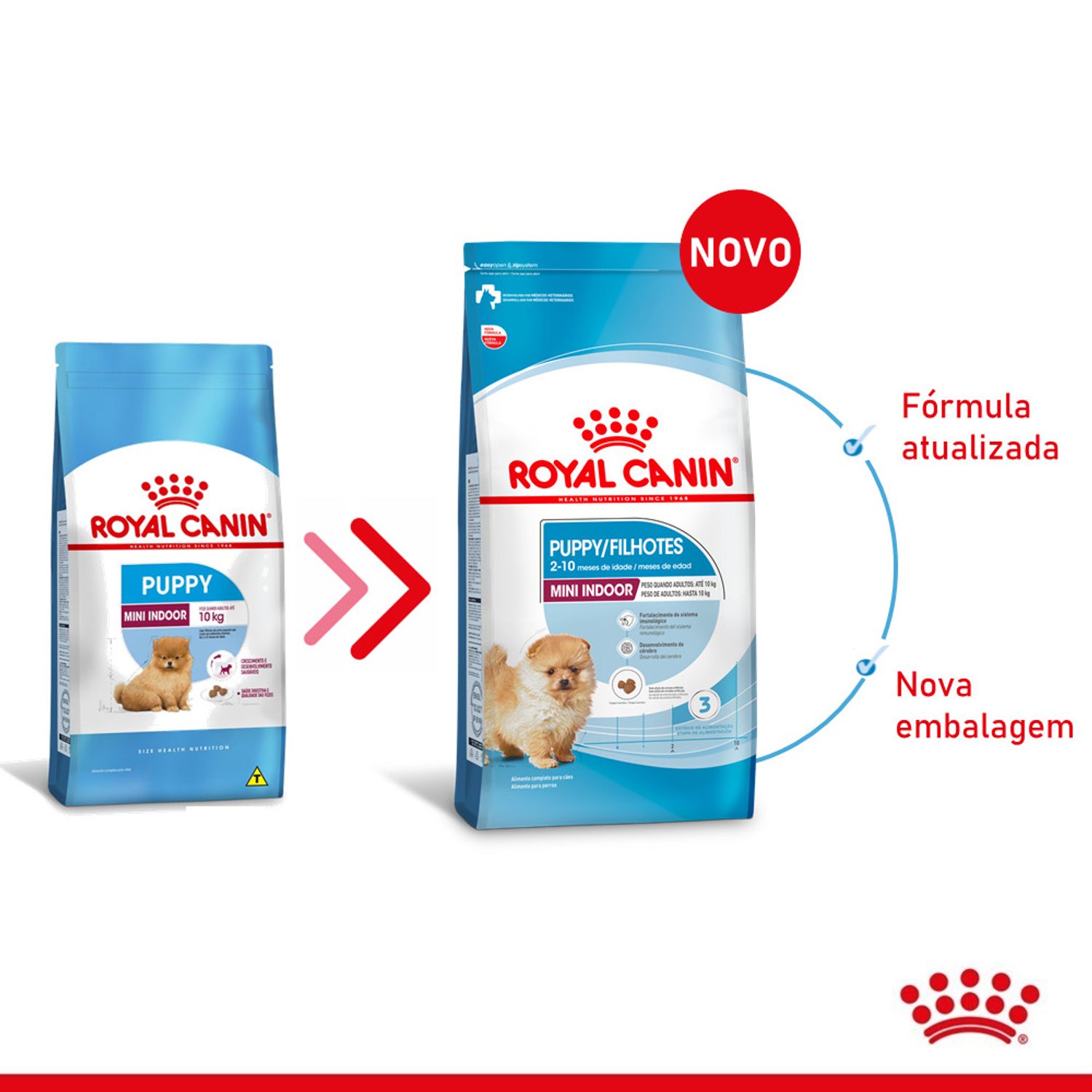 Ração Royal Canin Mini Indoor Cães Filhotes Nova Embalagem