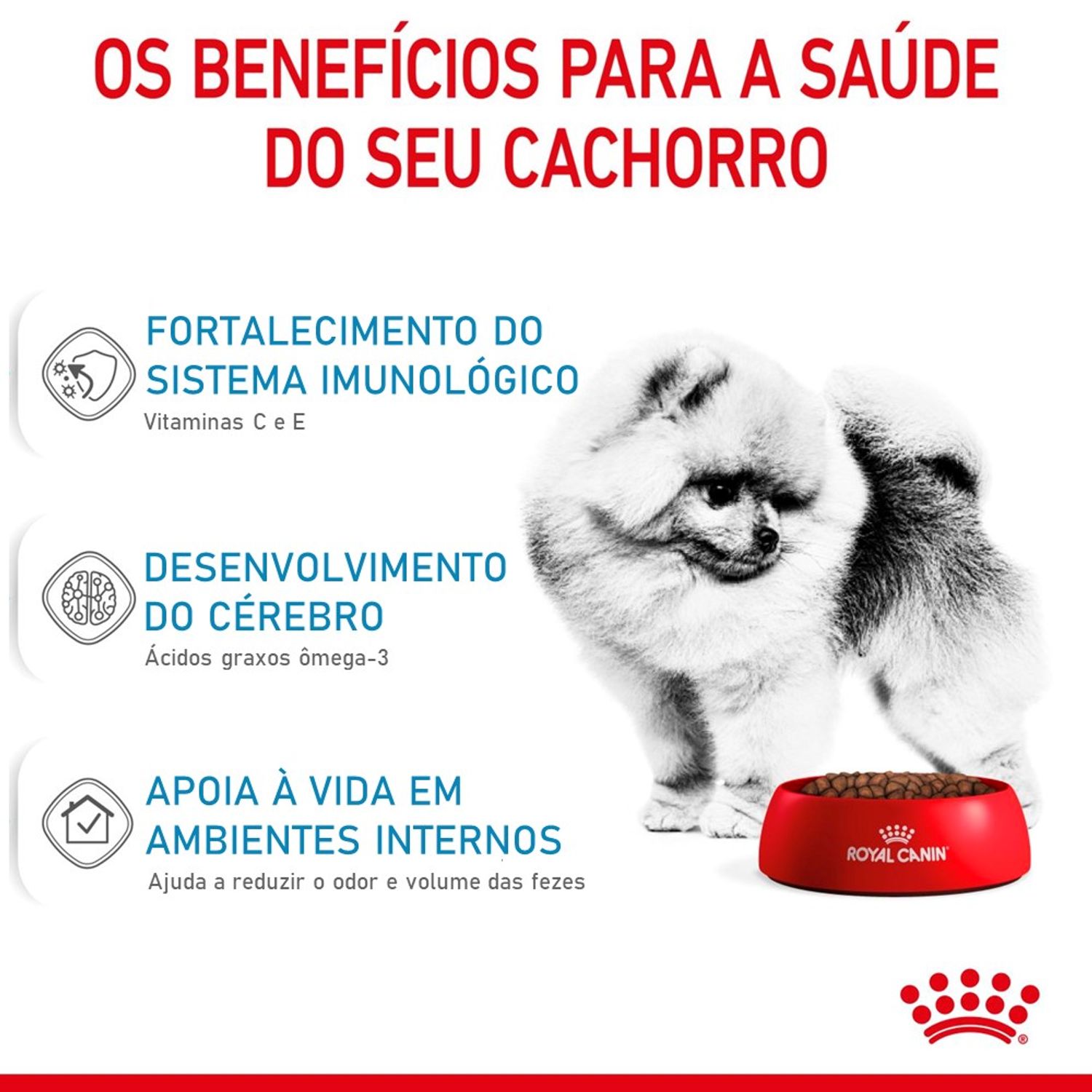 Ração Royal Canin Mini Indoor Cães Filhotes Benefícios