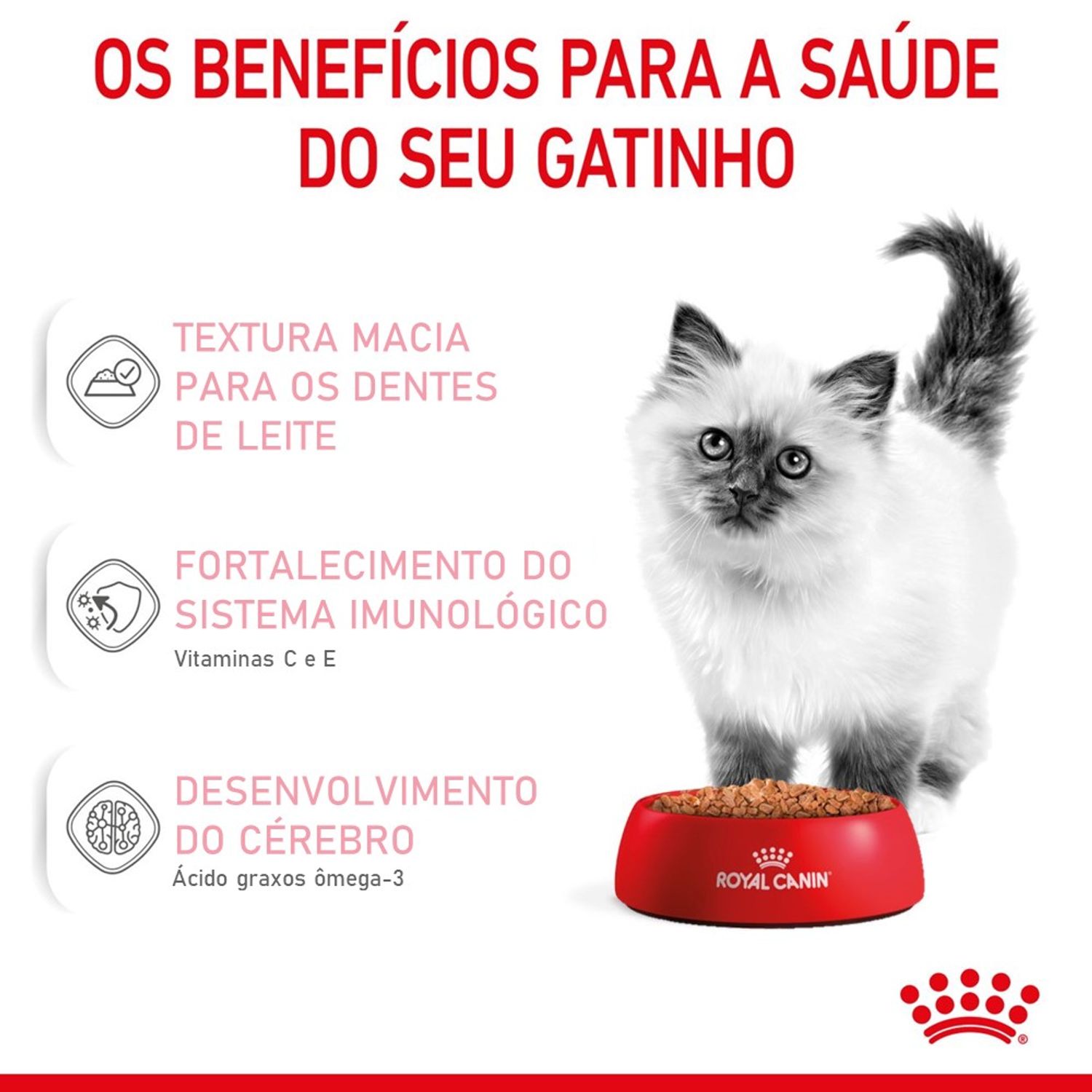 racao-umida-royal-canin-kitten-gatos-filhotes-beneficios
