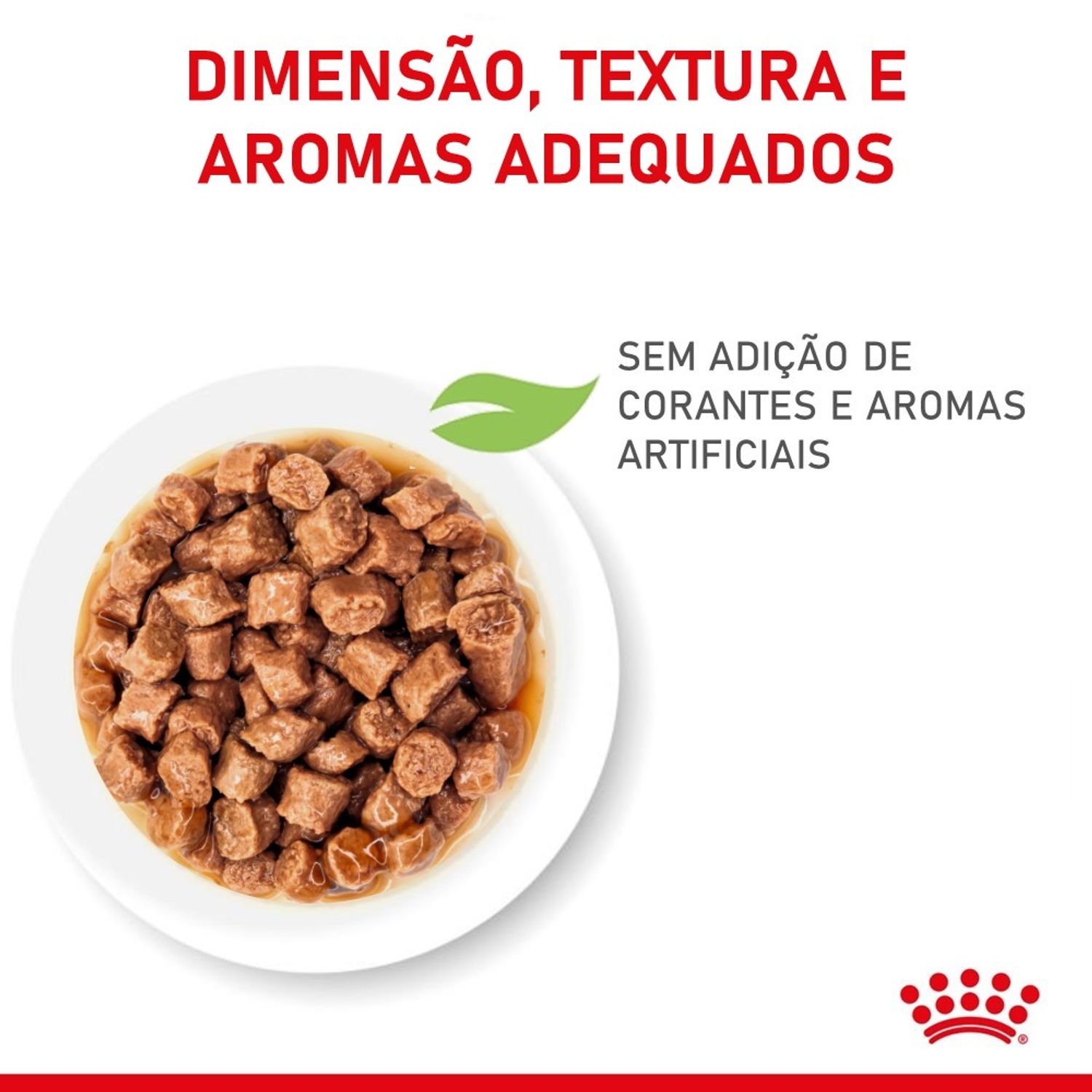 racao-umida-royal-canin-kitten-gatos-filhotes-sem-adicao-de-corantes-e-aromatizantes-artificiais-