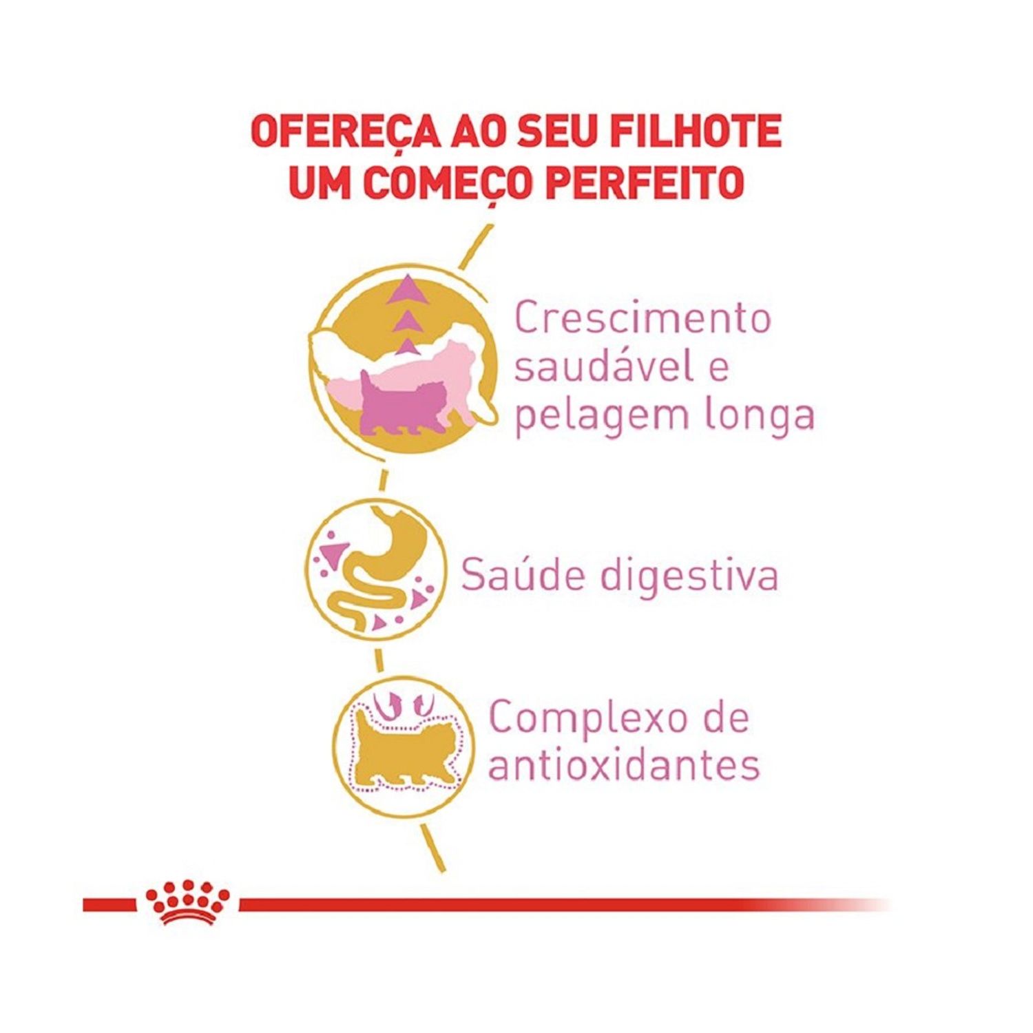 Ração Royal Canin Kitten Persa Gatos Filhotes  Crescimento saudável e Pelagem Longa