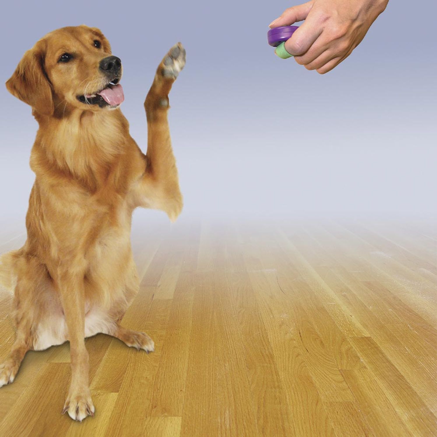 Adestrador Click-R Pet Safe Com Pet