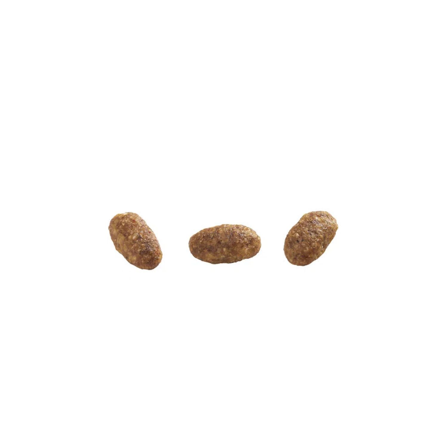 Racao-GranPlus-Gatos-Adultos-Frango-e-Arroz-Graos