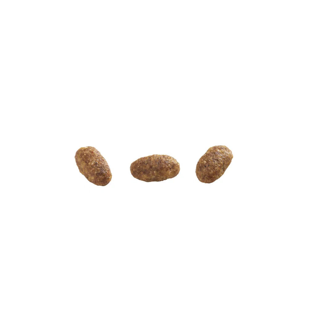 Ração GranPlus Menu Gatos Adultos Frango e Arroz