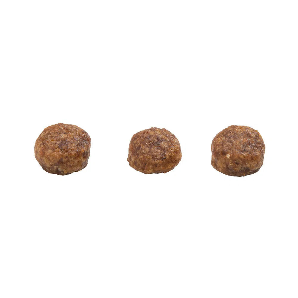 Ração GranPlus Menu Cães Filhotes Mini Frango e Arroz