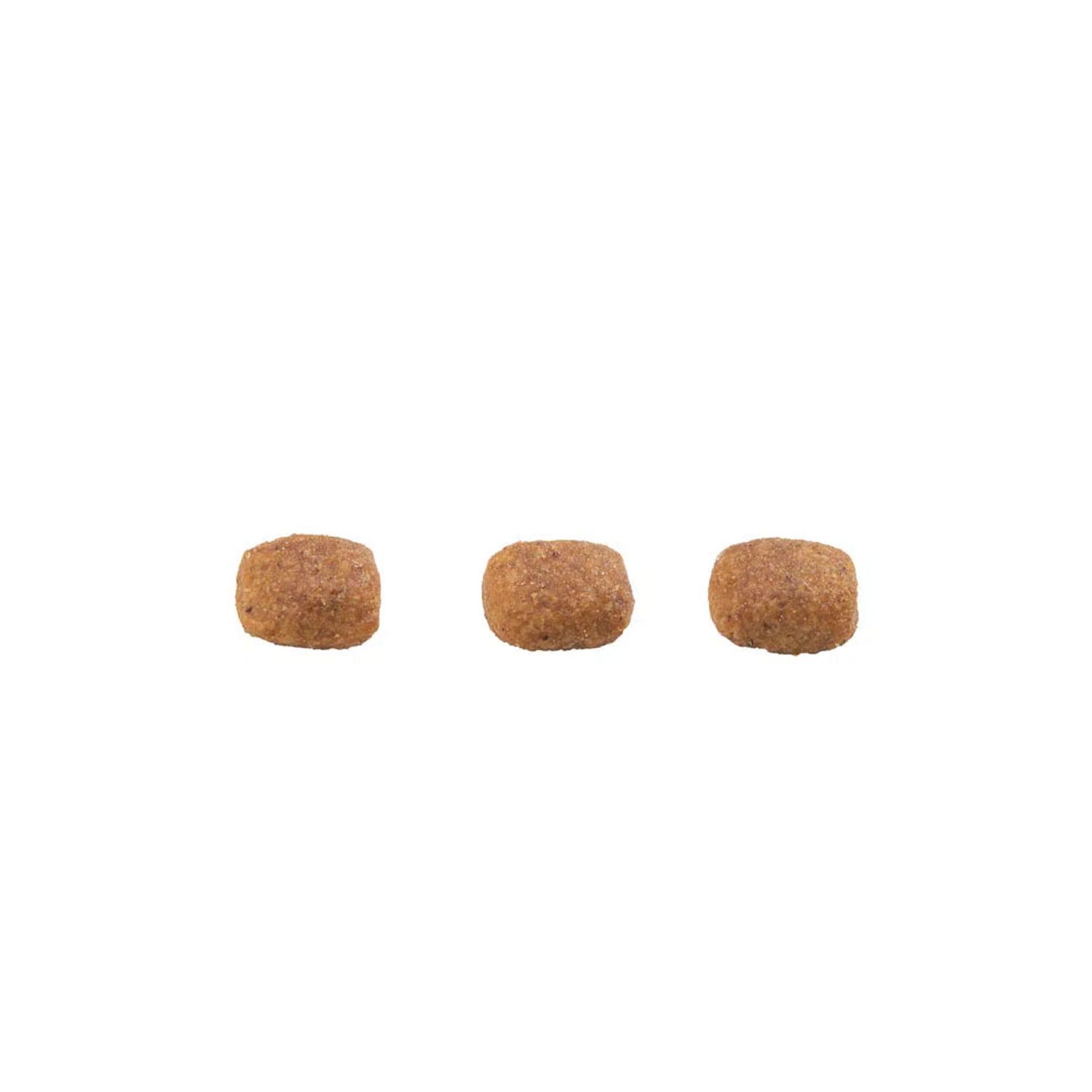 Racao-Gran-Plus-Gatos-Adultos-Carne-e-Arroz-Grao