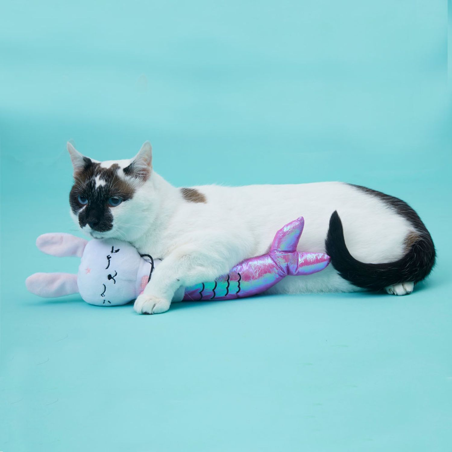 Gatinha-Sereia-Rosa