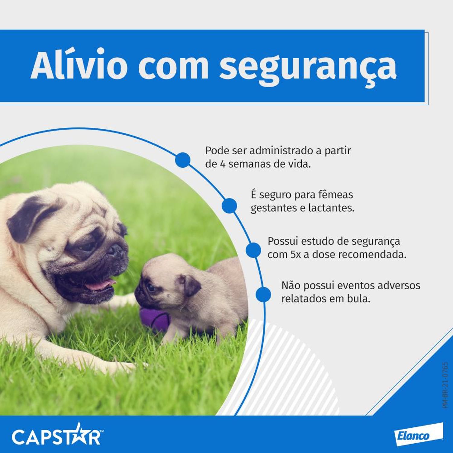 capstar 11,4 mg: para cães e gatos de até 11,4 kg alívio com segurança