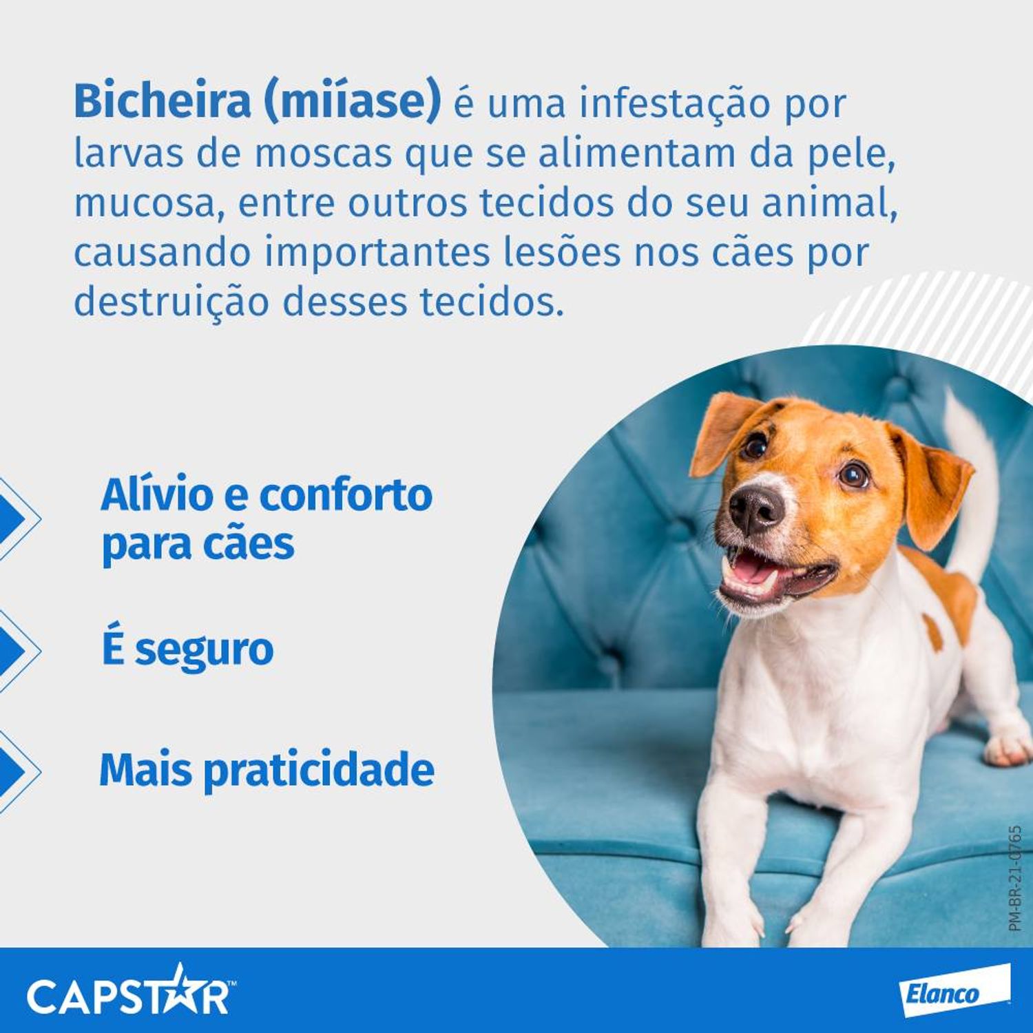 capstar-57-mg--antipulgas-para-caes-de-114-a-57-kg-alivio-contra-bicheira
