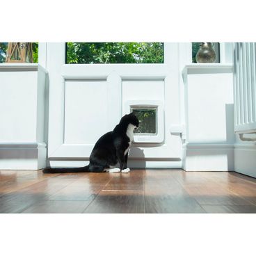 porta-inteligente-para-caes-e-gatos-com-app-sure-petcare-pet