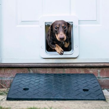 porta-inteligente-para-caes-e-gatos-com-app-sure-petcare-pet