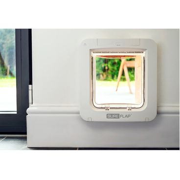porta-inteligente-para-caes-e-gatos-sure-petcare-parede