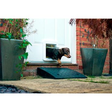 porta-inteligente-para-caes-e-gatos-sure-petcare-pet