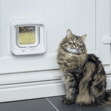 porta-inteligente-para-caes-e-gatos-com-app-sure-petcare-pet