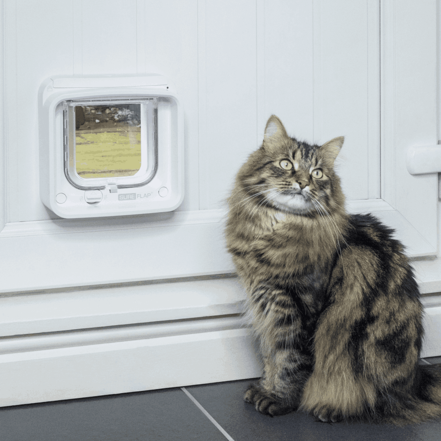porta-inteligente-para-caes-e-gatos-sure-petcare-pet