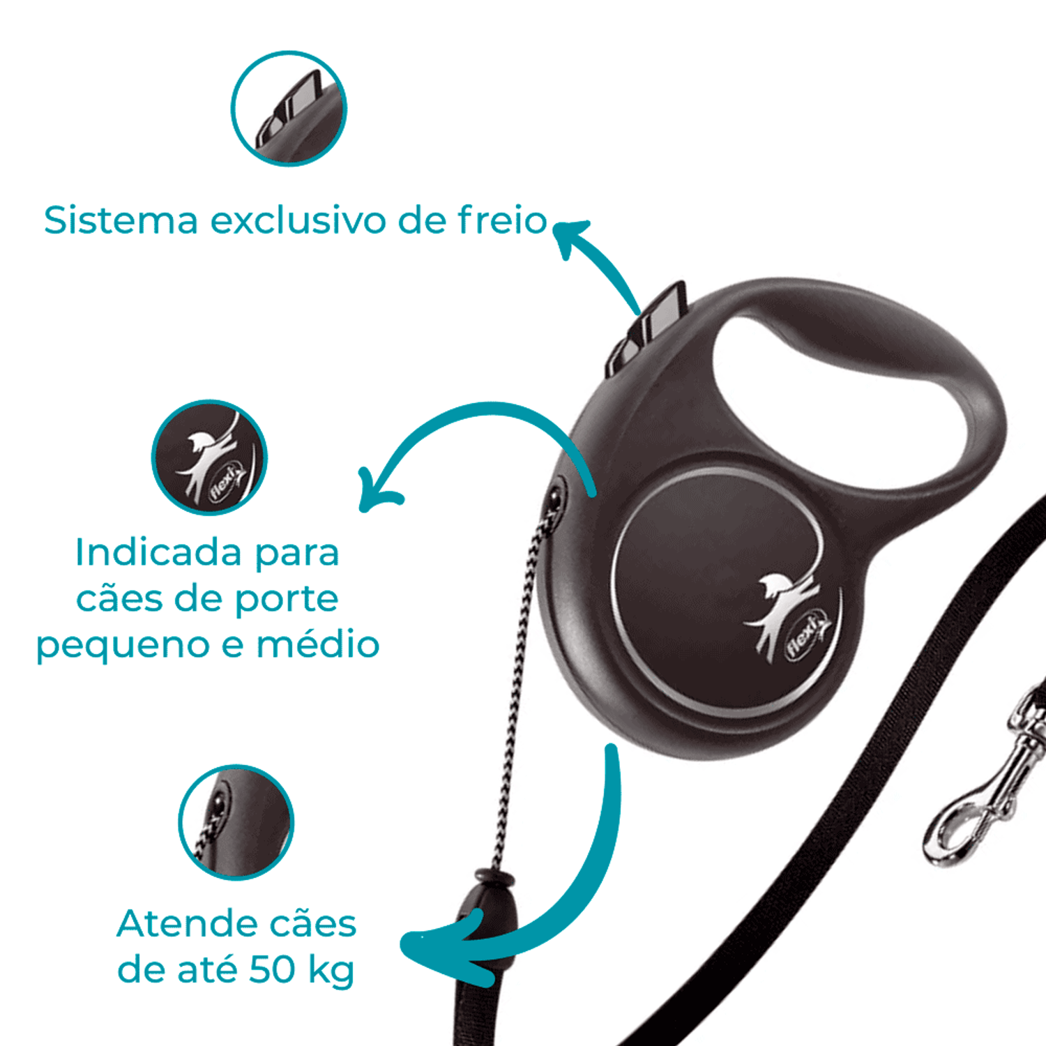 Guia Black Design Flexi Prata Detalhes