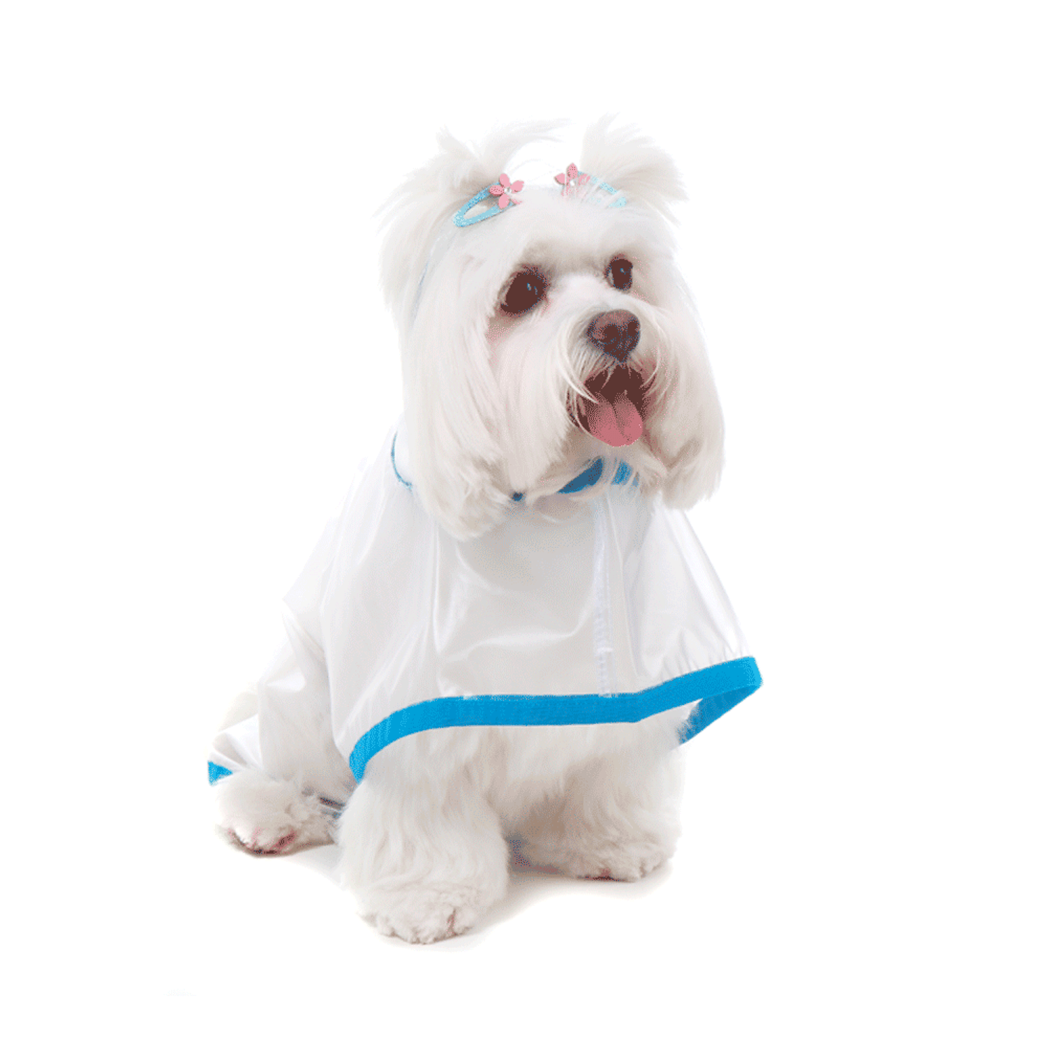 Capa-de-Chuva-para-Cachorro-Azul-Bichinho-Chic