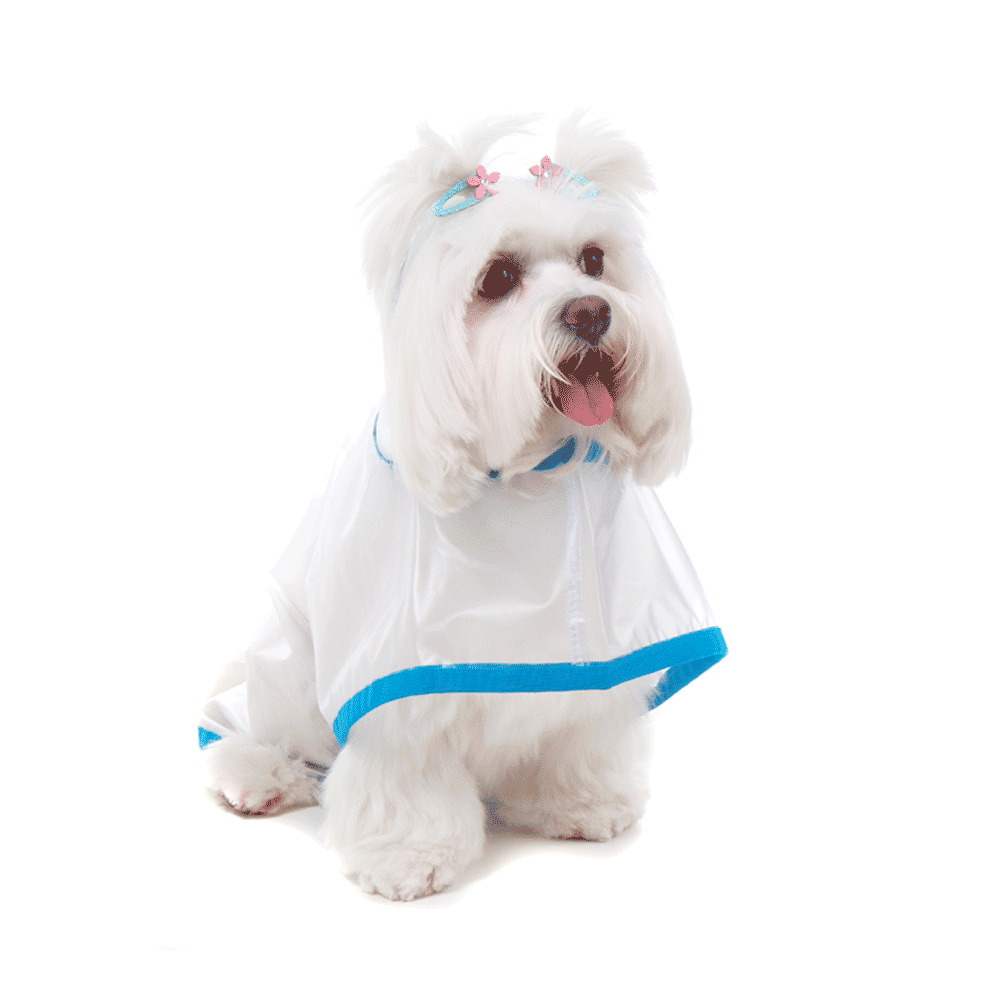 Capa de Chuva para Cachorro Azul Bichinho Chic