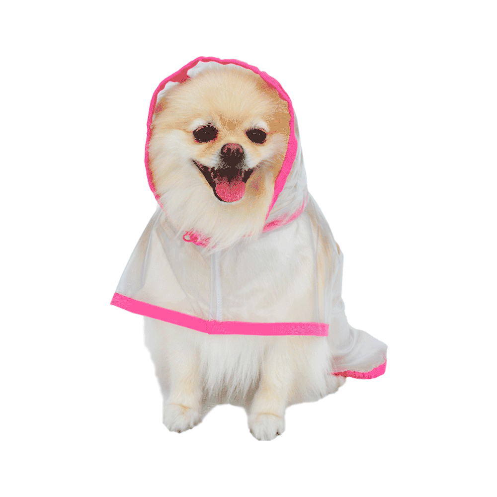 Capa de Chuva para Cachorro Rosa Bichinho Chic