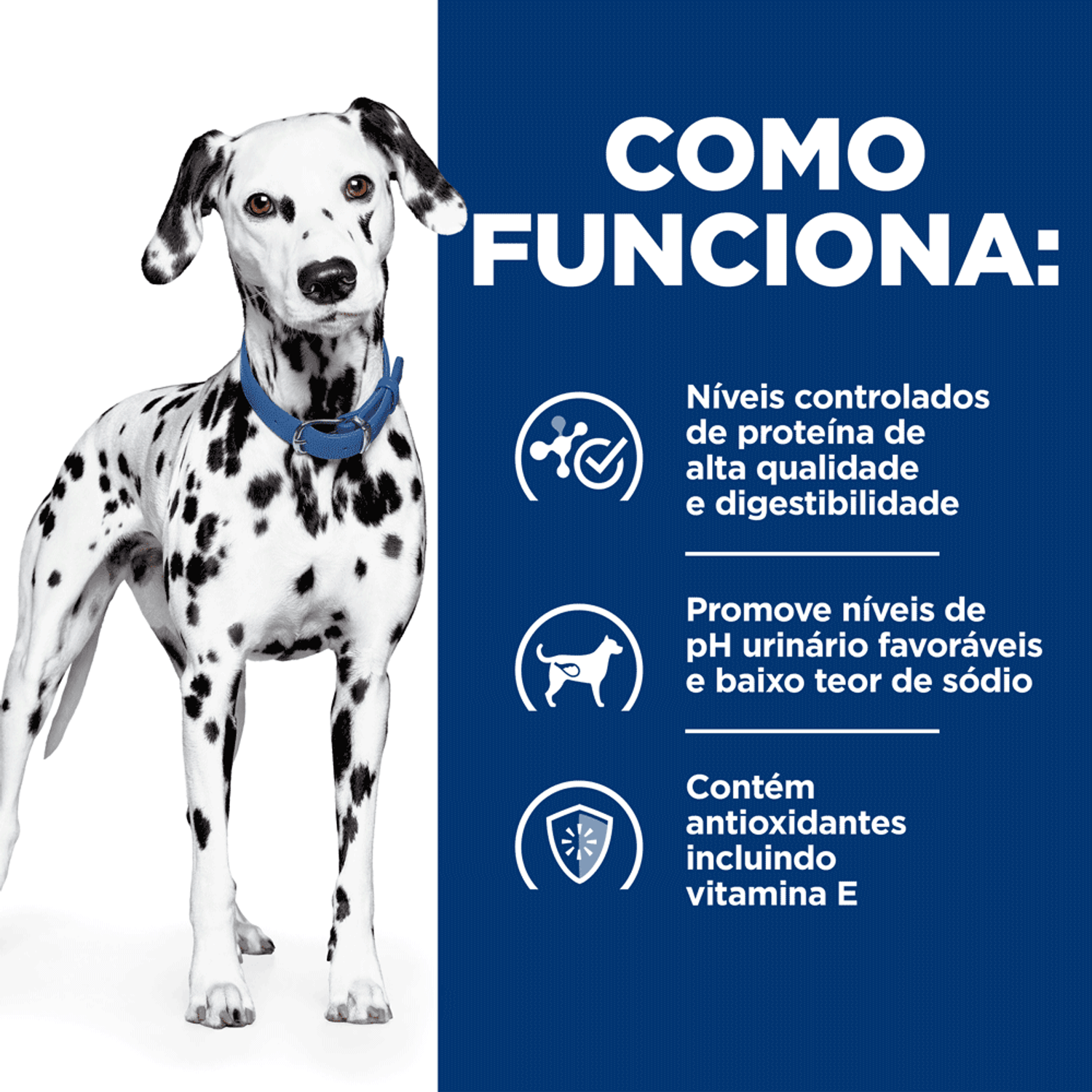 Racao-Umida-Hill-s-Como-Funciona
