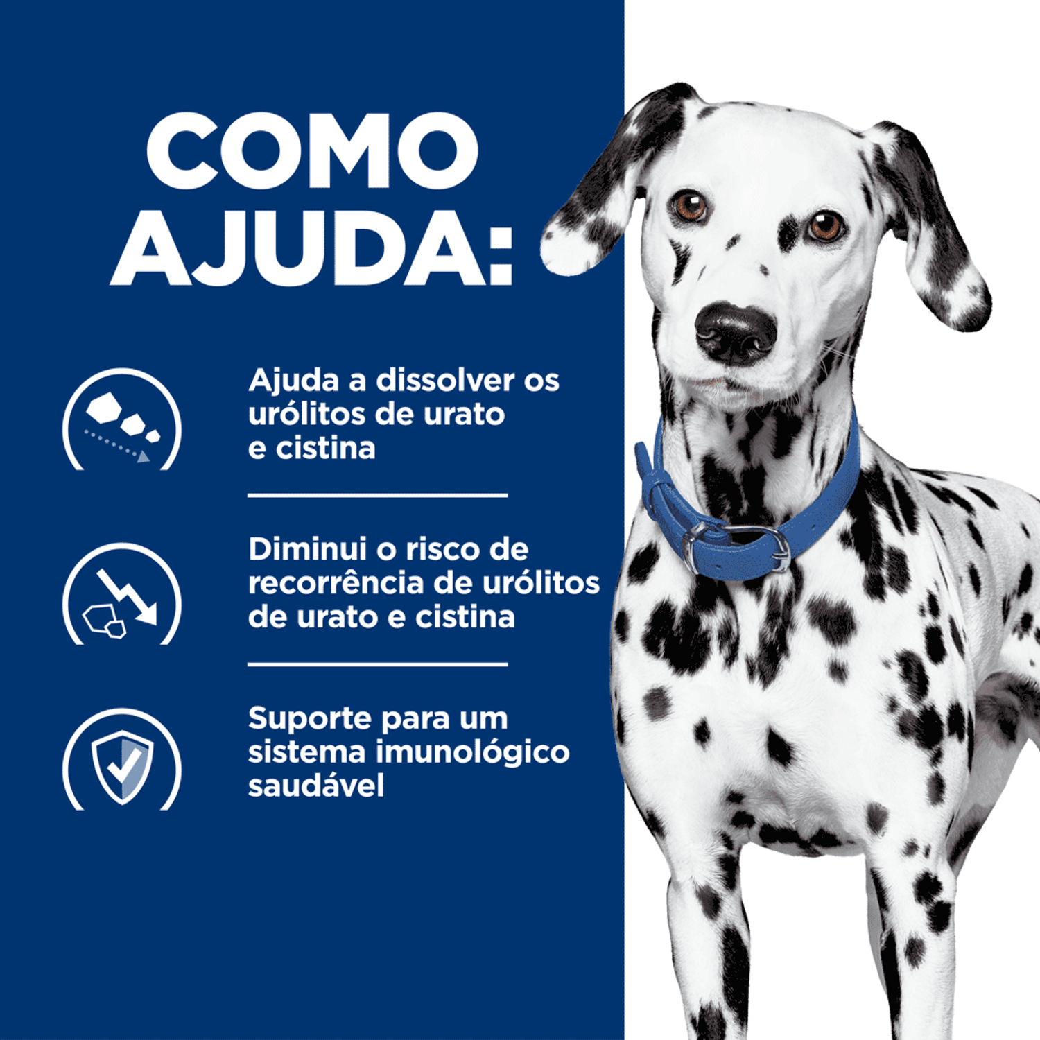 Racao-Umida-Hill-s-Como-Ajuda
