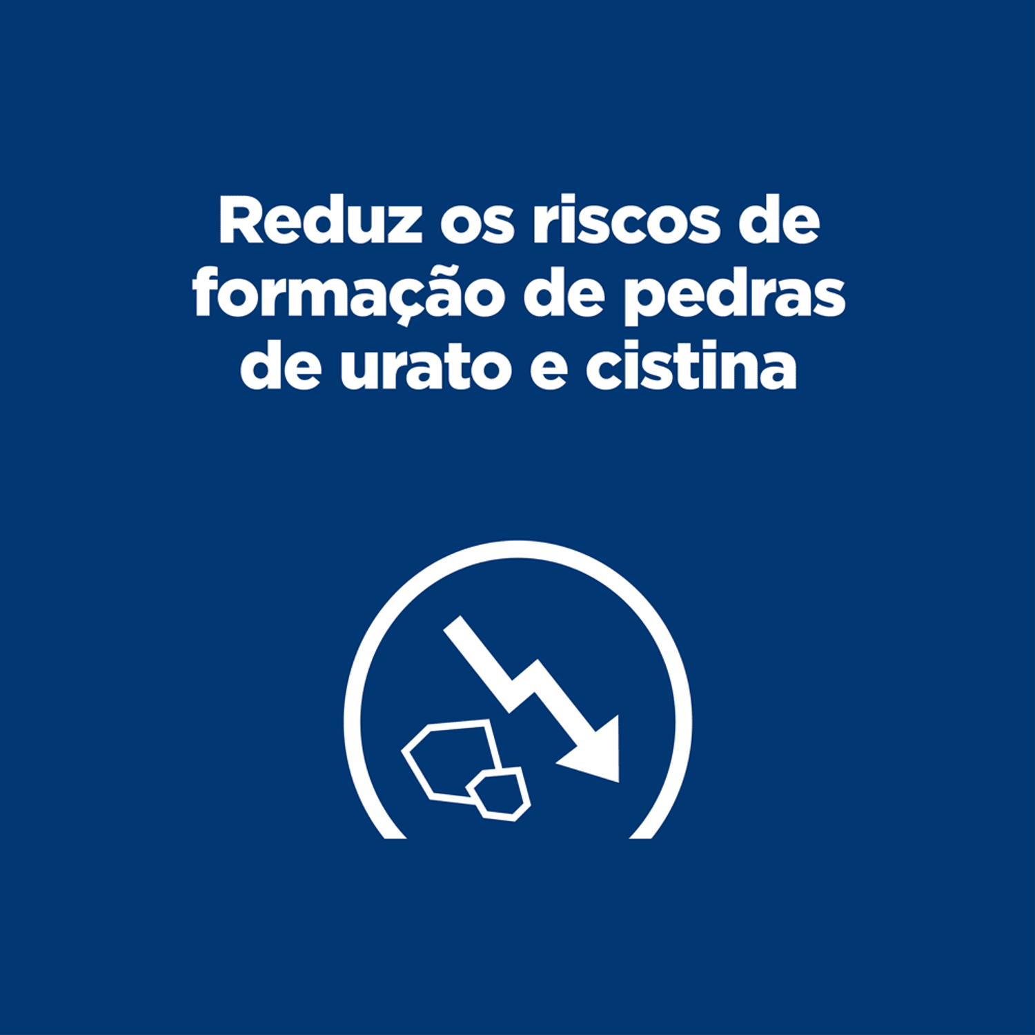Reduz-Riscos-de-Pedras