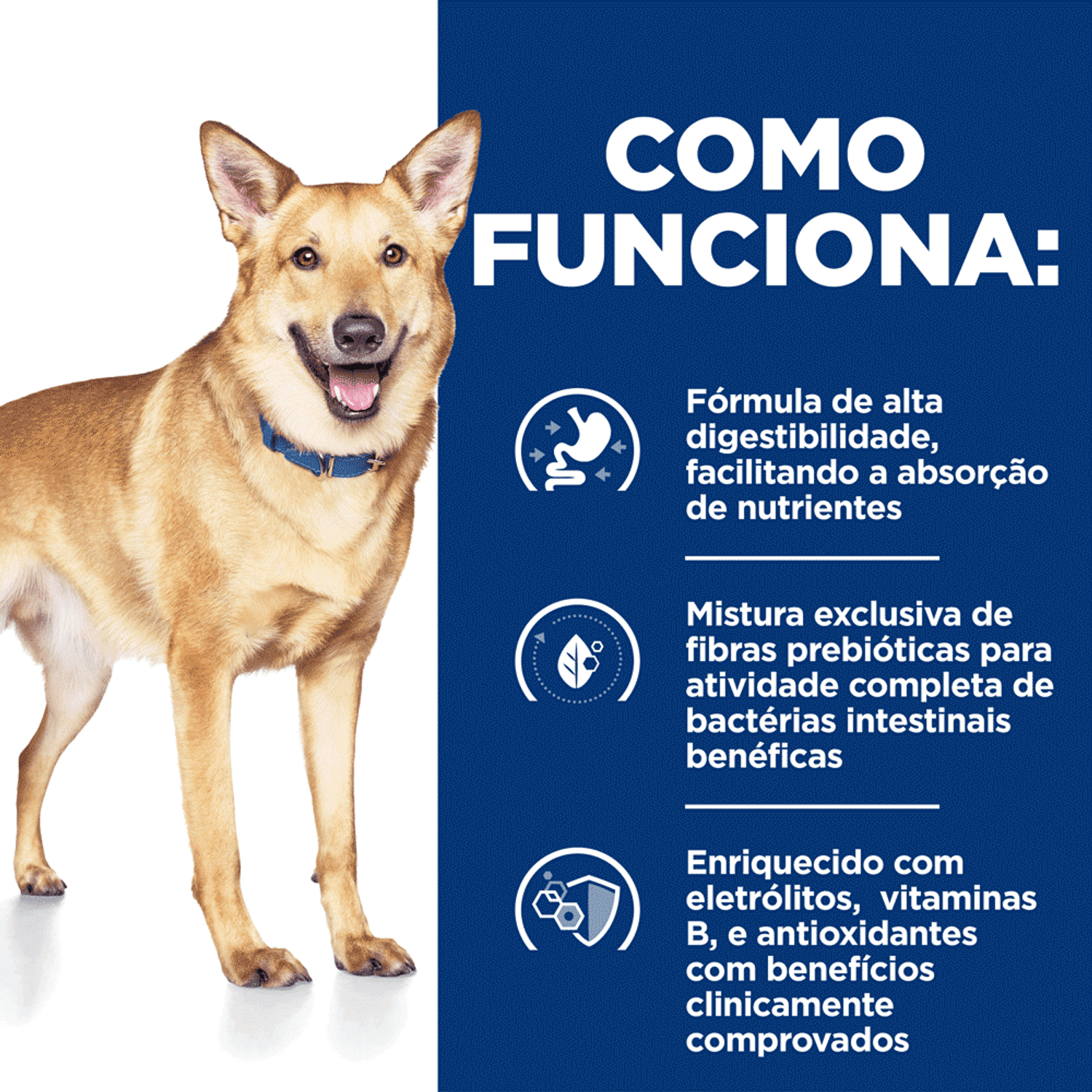 Como-Funciona-Racao-Umida-Hill-s-