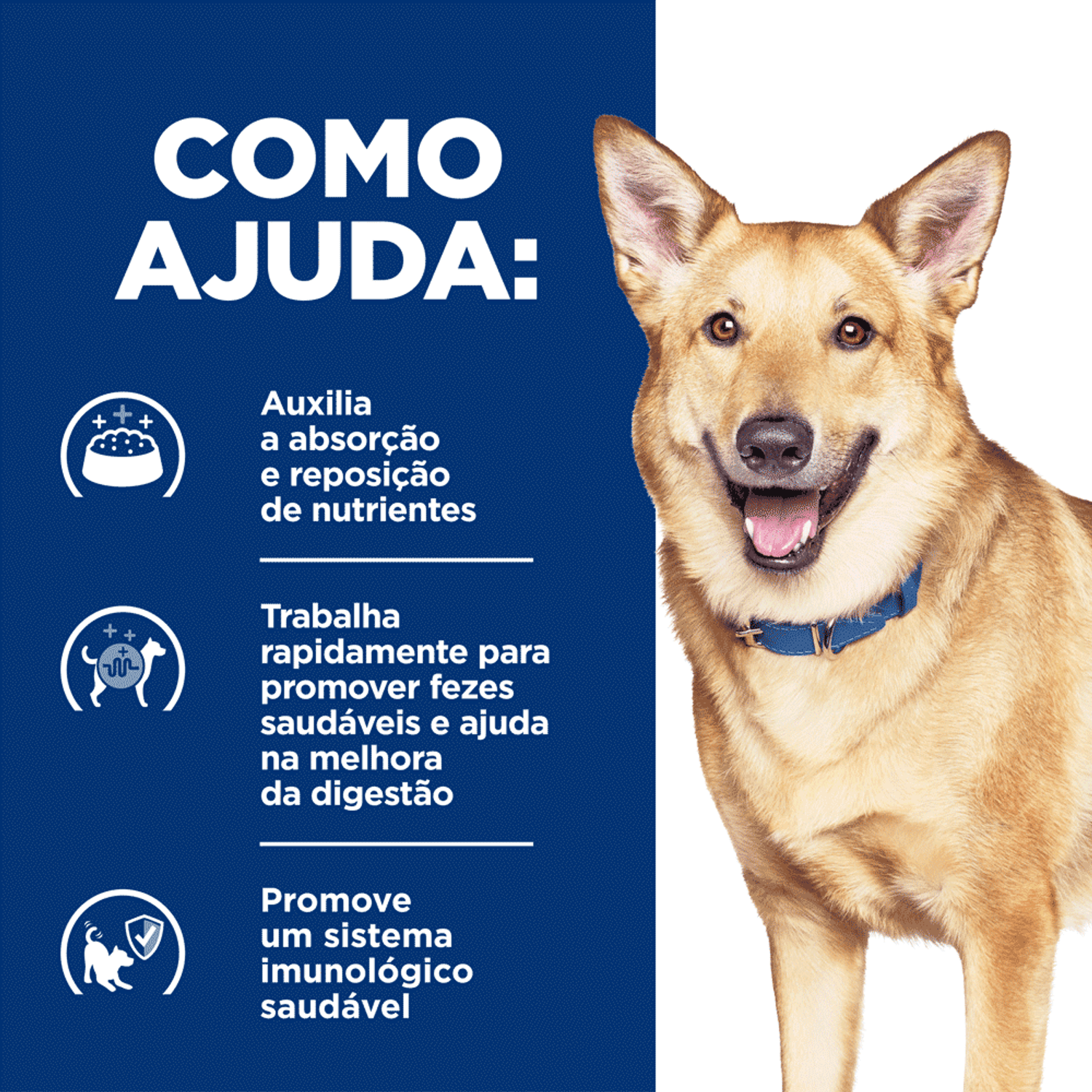 Como-Ajuda-a-Racao-Umida-Hill-s-