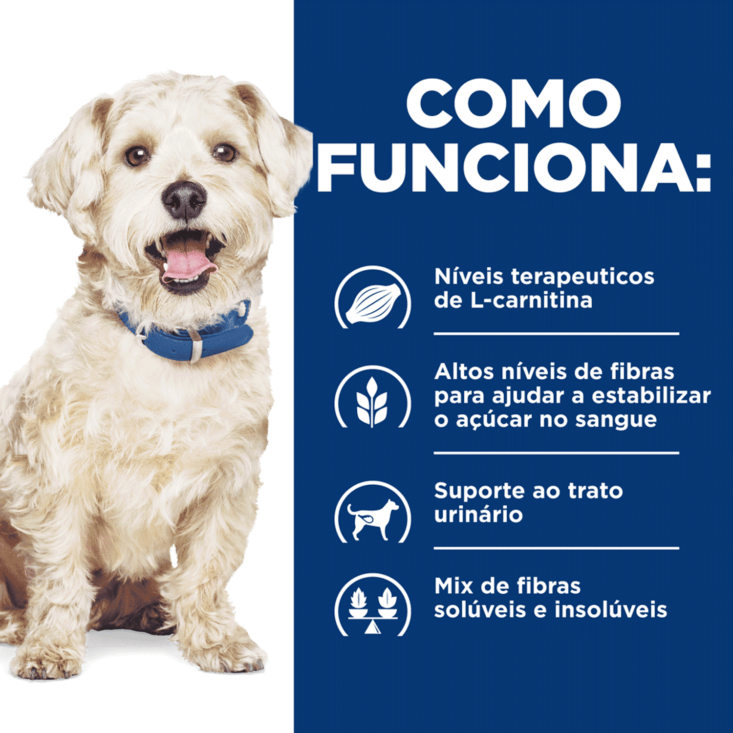 Como-Funciona-a-Racao-Umida-Hill-s