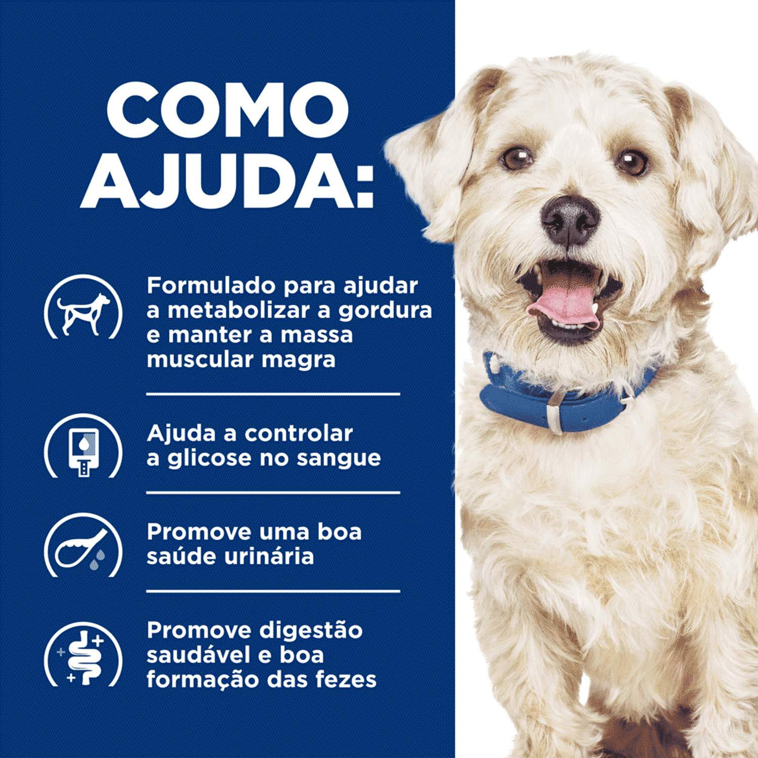 Como-Ajuda-a-Racao-Umida-Hill-s