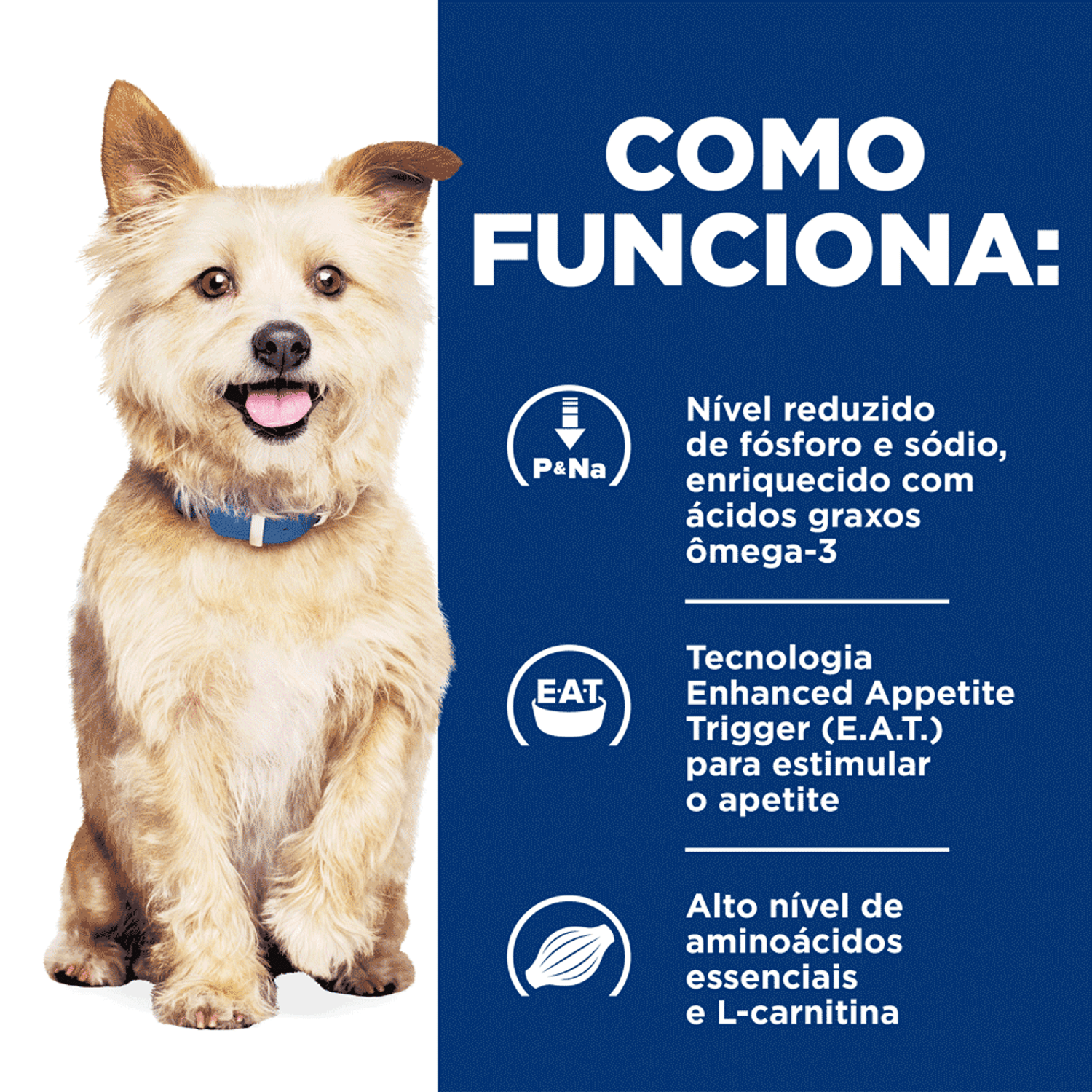 Como-Funciona-o-Alimento-Umido-Hill-s