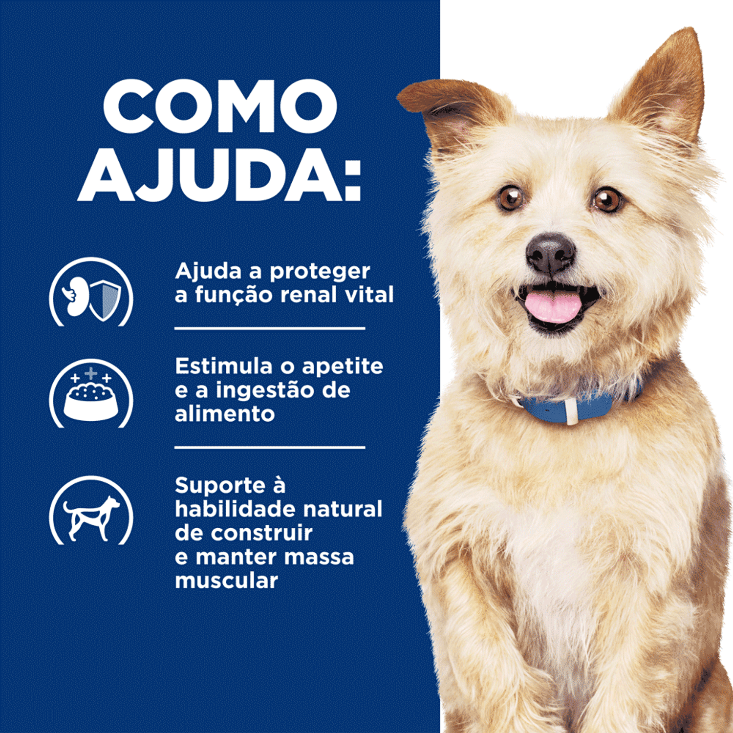 Como-Ajuda-o-Alimento-Umido-Hill-s