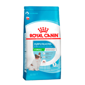 Ração Royal Canin X-Small Cães Filhotes