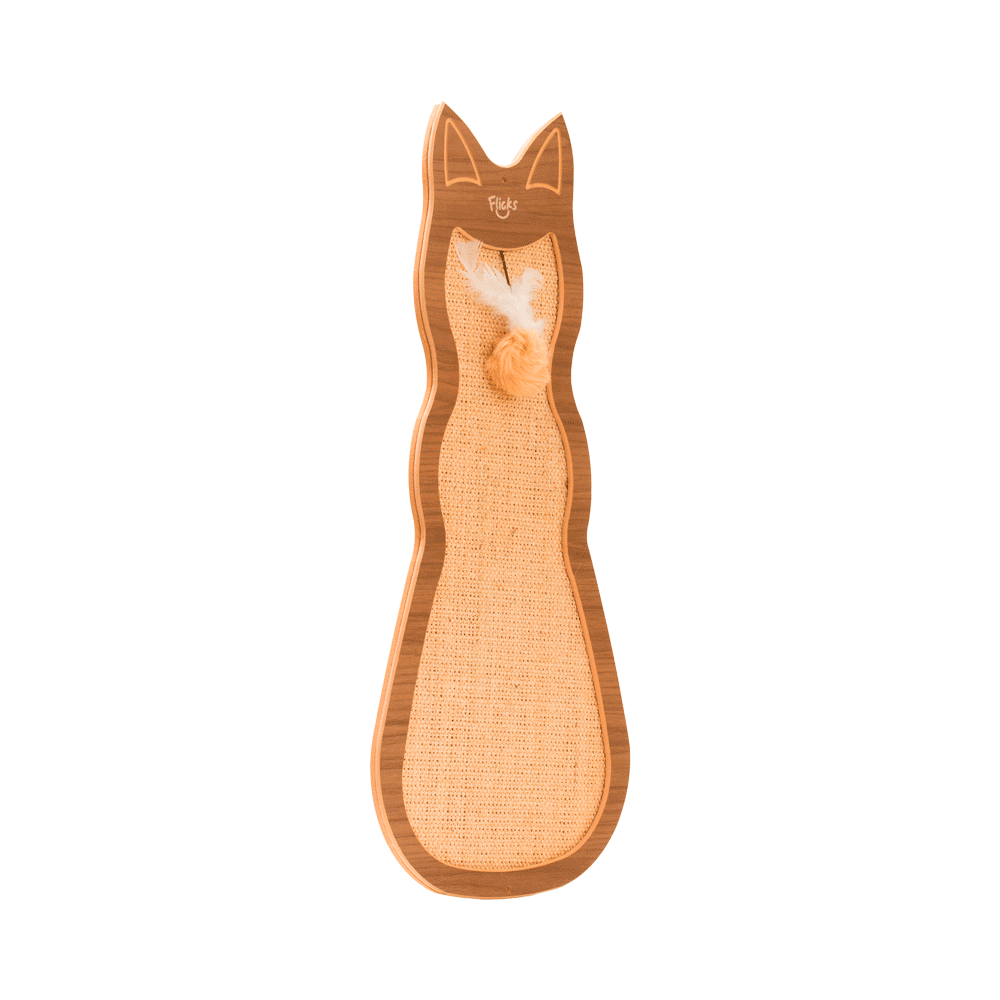 Bardic Jogo americano conjunto de X1 gato fofo animal de estimação, tapete  retangular resistente a manchas