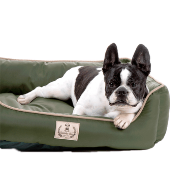 Cama-Barcelona-Bichinho-Chic-Verde-com-Pet-Deitado