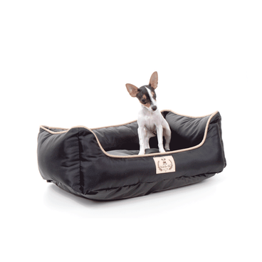 Cama-Barcelona-Bichinho-Chic-Com-Pet-Sentado