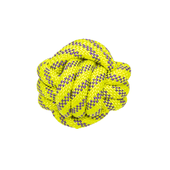 Brinquedo de Corda Elite Pet Toys Ball Amicus