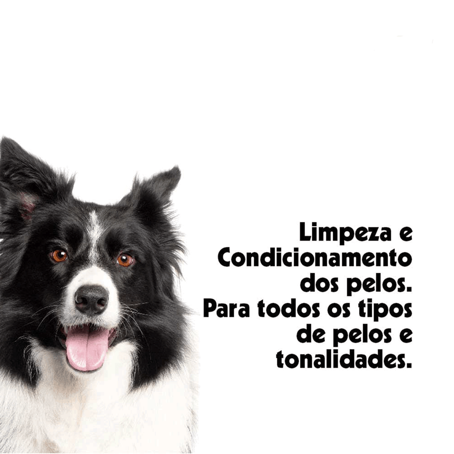 Kit Pop Shampoo, Condicionador e Perfume Pet Clean