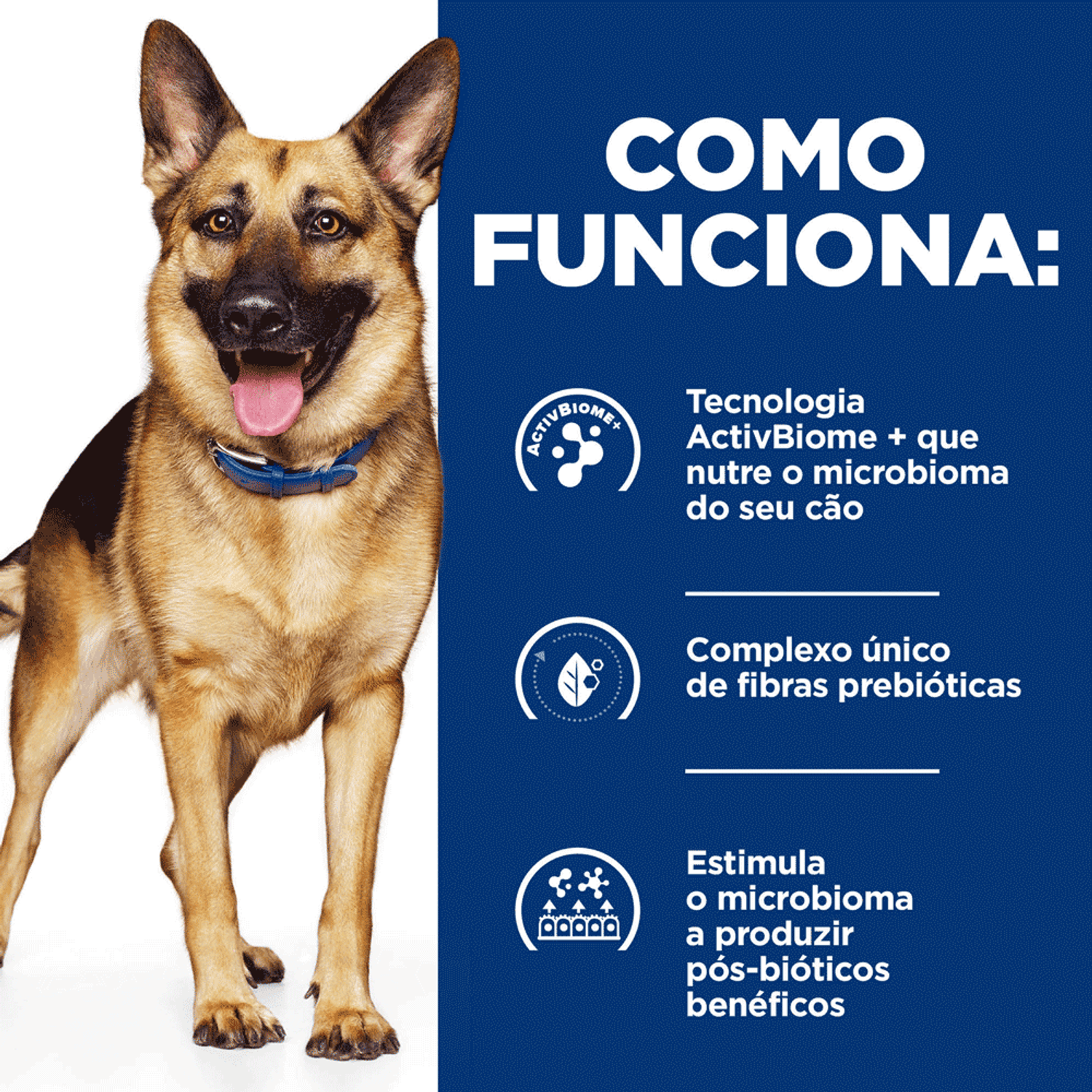 Como-Funciona-a-Racao-Hill-s-Prescription-Diet-Caes-Adultos-Gastrointestinal-Biome